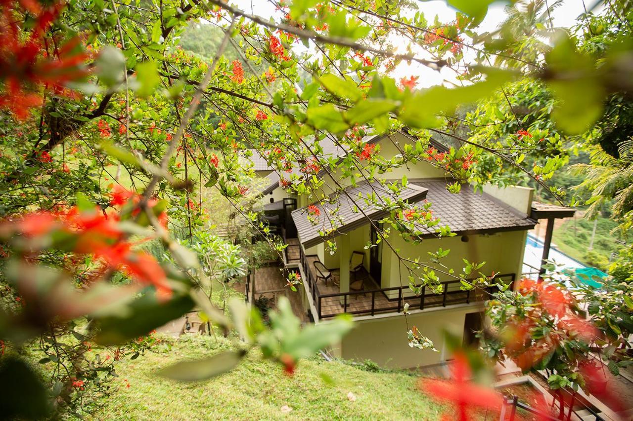 Huluganga Ridge, Kandy Karalliyadda Buitenkant foto