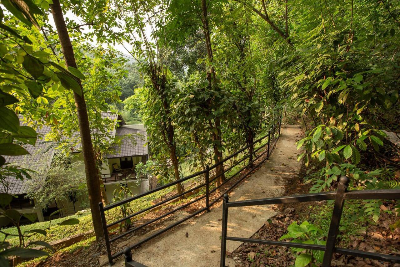 Huluganga Ridge, Kandy Karalliyadda Buitenkant foto